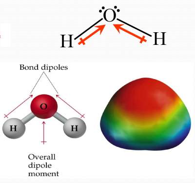 h2o-polar-bonds
