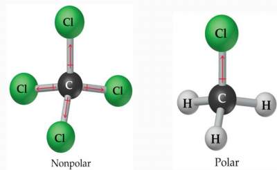 molecular polarity nonpolar polar shape exercise solutions ii follows answers