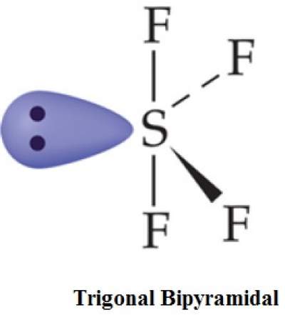 sf4-trigonal