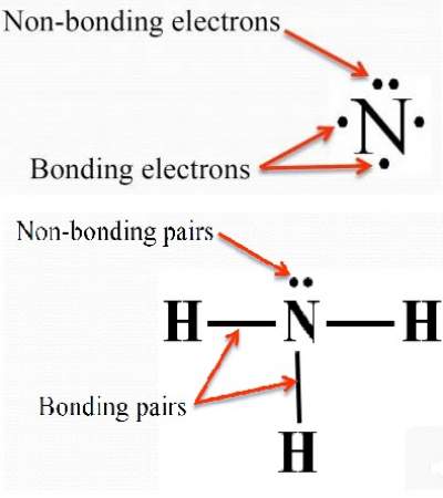 Types of Electron Domains