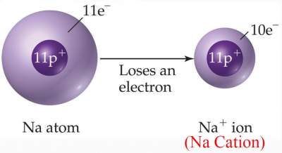 Na Cation 1