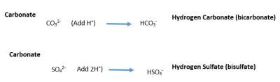 Polyatomic O & H